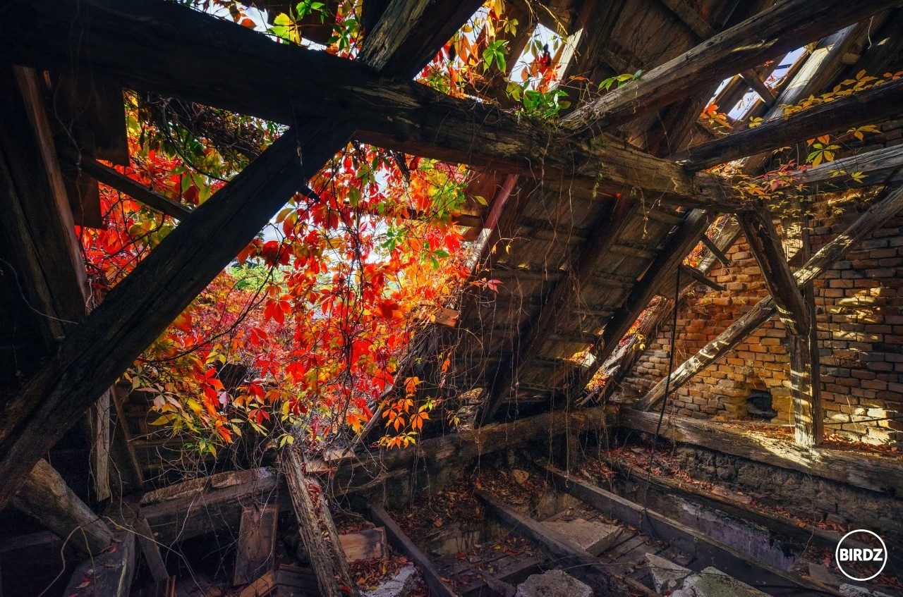 dnešný urbex 