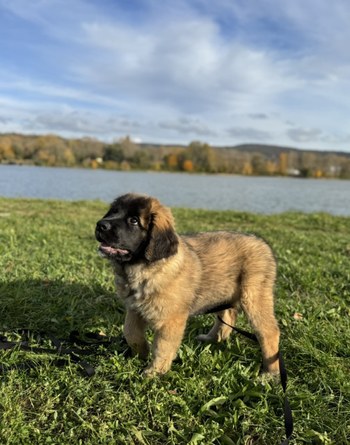 Amira ♥️ tu mala dva mesiace, bude z nej veeeeelká slečna 