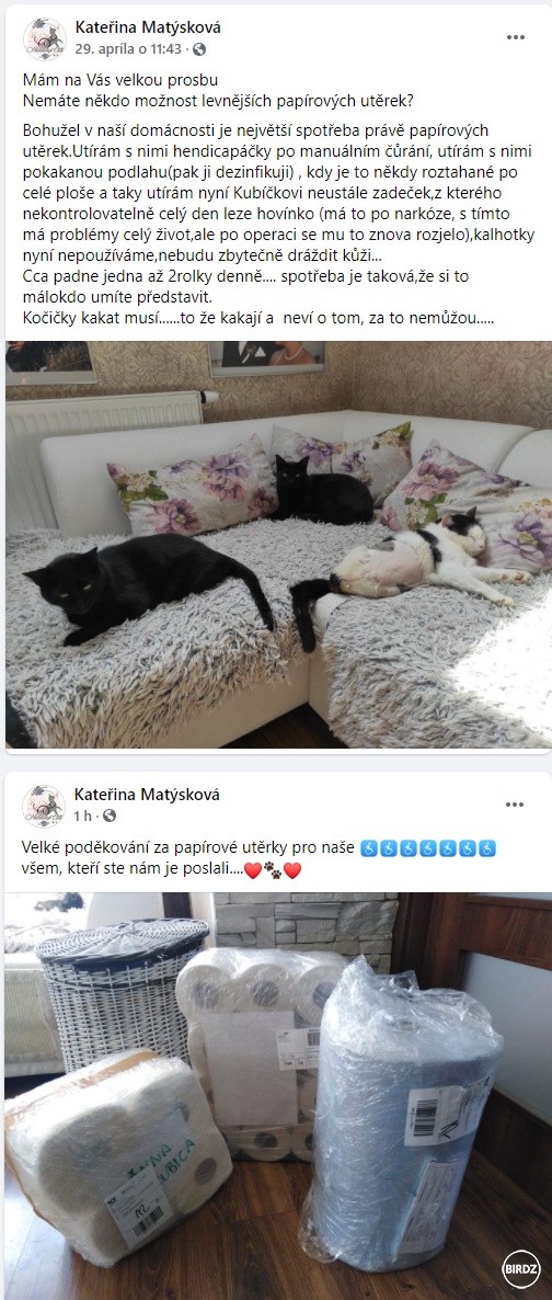 Tá žena aj ľudia okolo nej sú proste neuveriteľne úžasní. (Handycap cats z.s.) Najsmutnejšie príbehy a zároveň najdojímavješie skutky. 