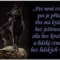 Ukážka z nezaradených obrázkov