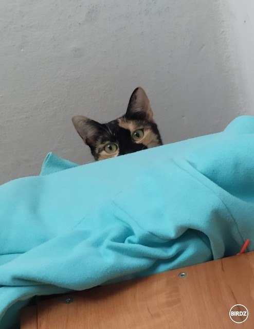 Takto pozoruje z výšky