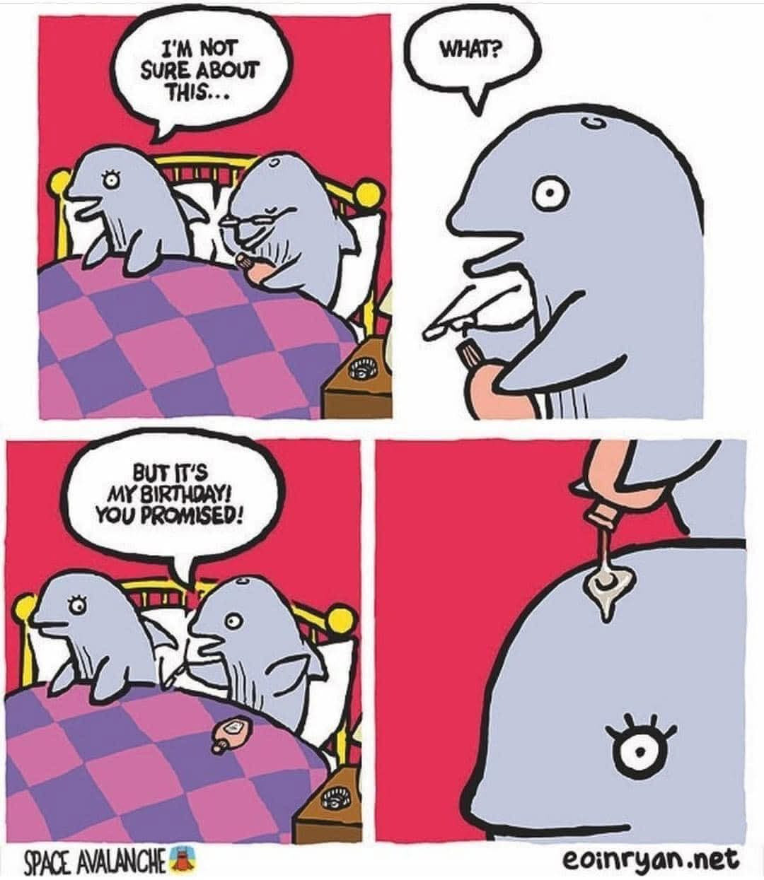Obrázok bez popisu č.1094189