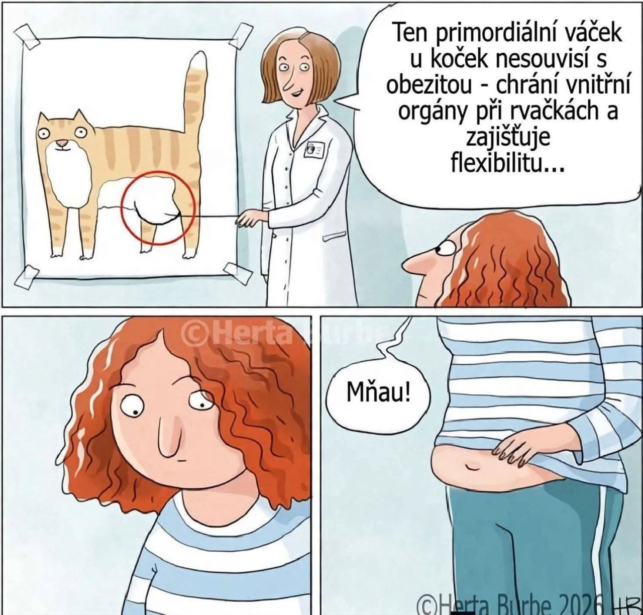 Mňau