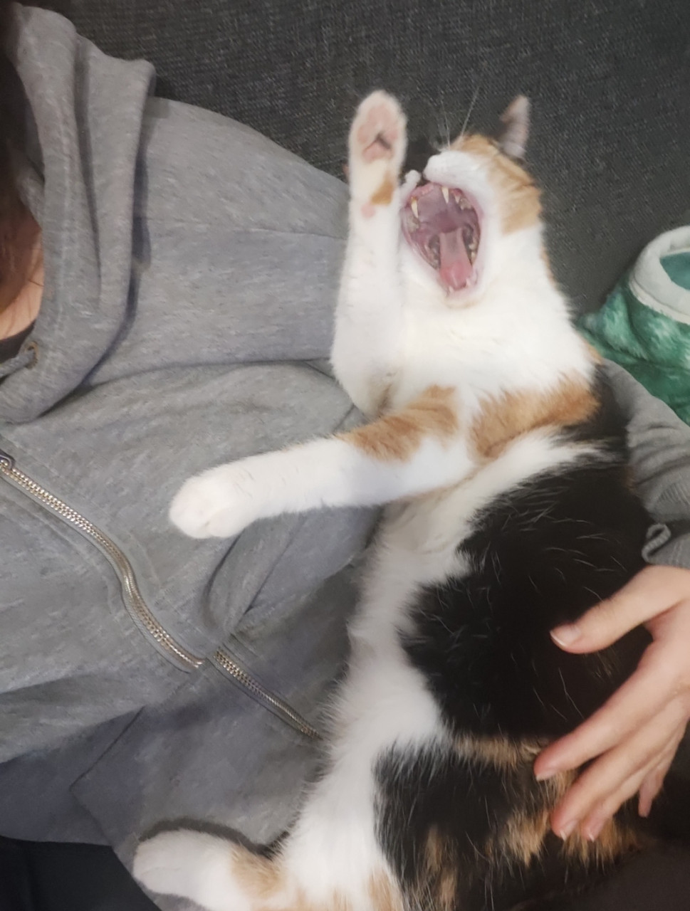 Aaaaaa, nefoť maaaaaaa :D 