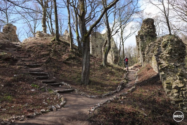 Hrad Biely Kameň nad Svätým Jurom. Vznikol niekedy v 13. storočí a opustený bol pravdepodobne pred vyše 400 rokmi. Cez údolie na druhom kopci bolo hradisko Neštich z 9. storočia (dnes je z neho viditeľný už len val).