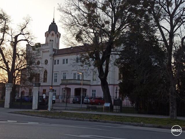 Rokokový kaštieľ v Ivanke pri Dunaji - postavený v 2. polovici 18. storočia pre Grasalkovičovcov, secesne prestavaný začiatkom 20. storočia, po 1989 reštituovaný a v rukách Jezuitov