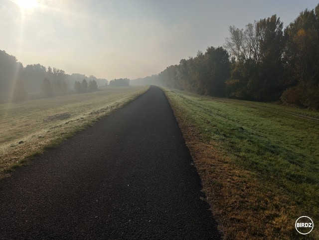 Dosť mám problém sa ráno donútiť vstať a ísť bicyklovať. Ale dokým je nad nulou, tak nemôžem sa na to vyfláknuť. Stretol som Viedeňčana ktorý včera vyrazil a zajtra chce končiť v Budapešti. Jeden kamoš dnes vyráža z BA do Istanbulu na bicykli.