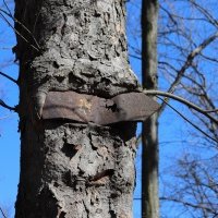 Dobré, že v lese robia to značenie a nemôžem sa stratiť, lebo vždy viem kam cestička vedie a ako ďaleko je cieľ a tak. Aj vy viete kde som sa prechádzal, však?