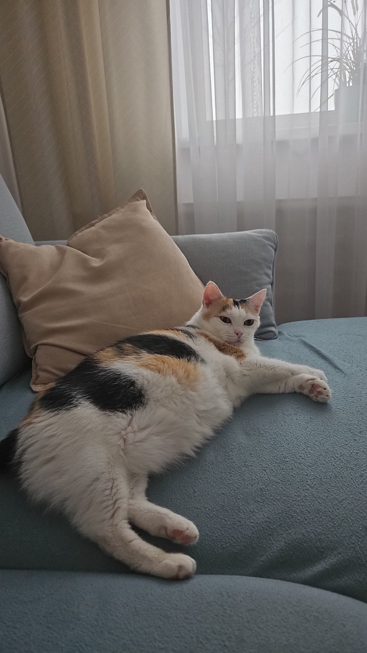  Máme to najkrajšie a najhuňatejšie bruško <3 