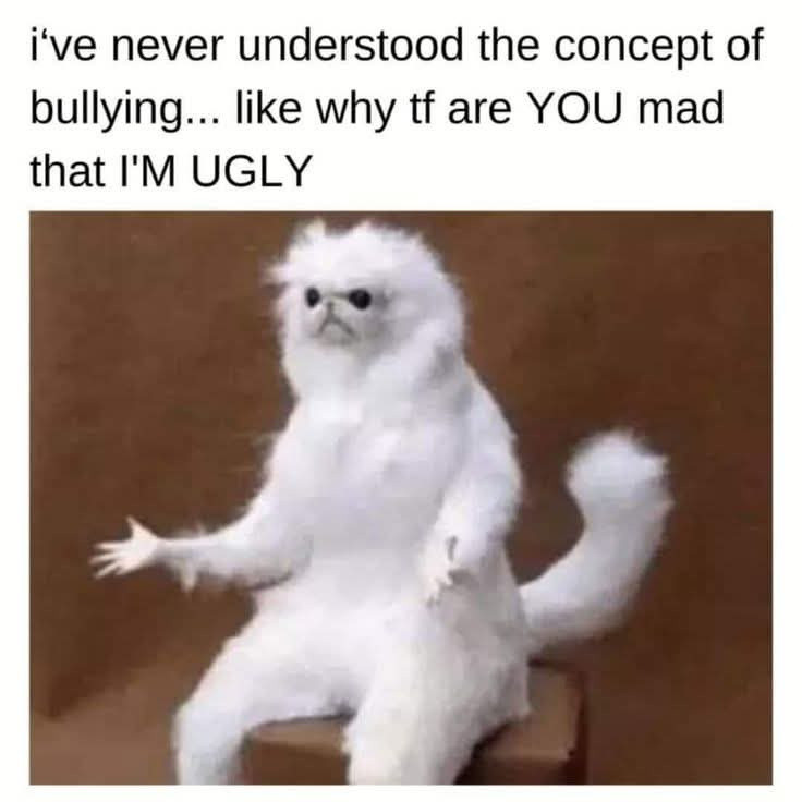 A nielen ugly, ale nenosim znackove oblecenie a XY dalsich veci, za ktore sa sikanuje 