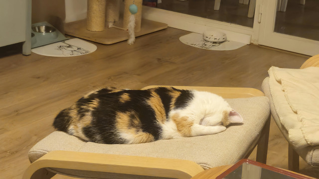 Dubino si takto rozkošne spinká, že si zakrýva oči :D 