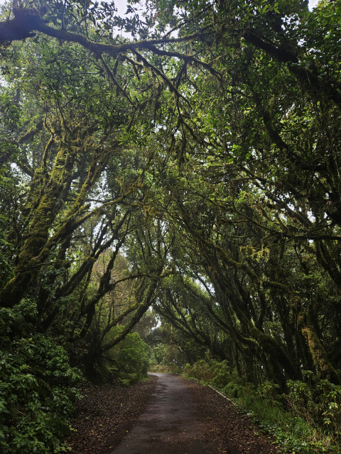 Anaga, Tenerife. Magicke miesto :)