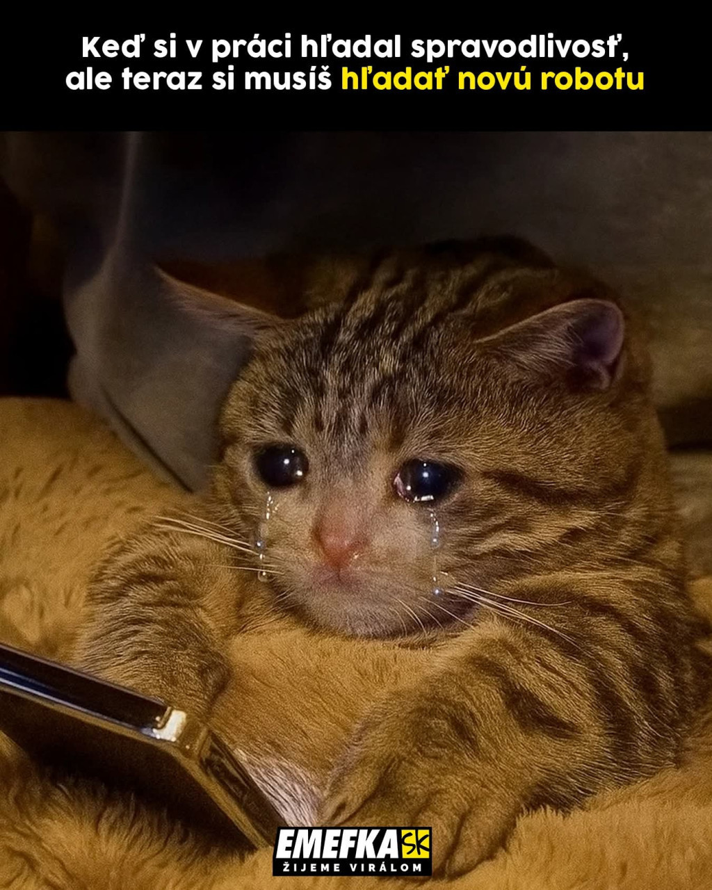  Nemoze byt vystiznejsie :D
