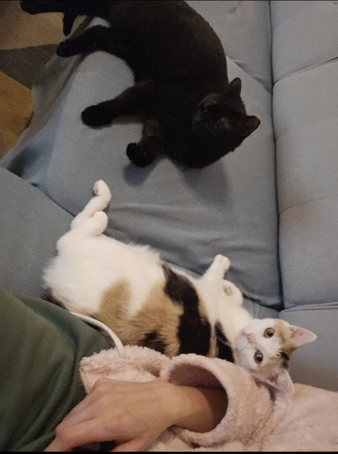 Leňošenie s mojimi babikami krasnymi :)