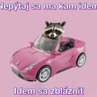 ukradol som