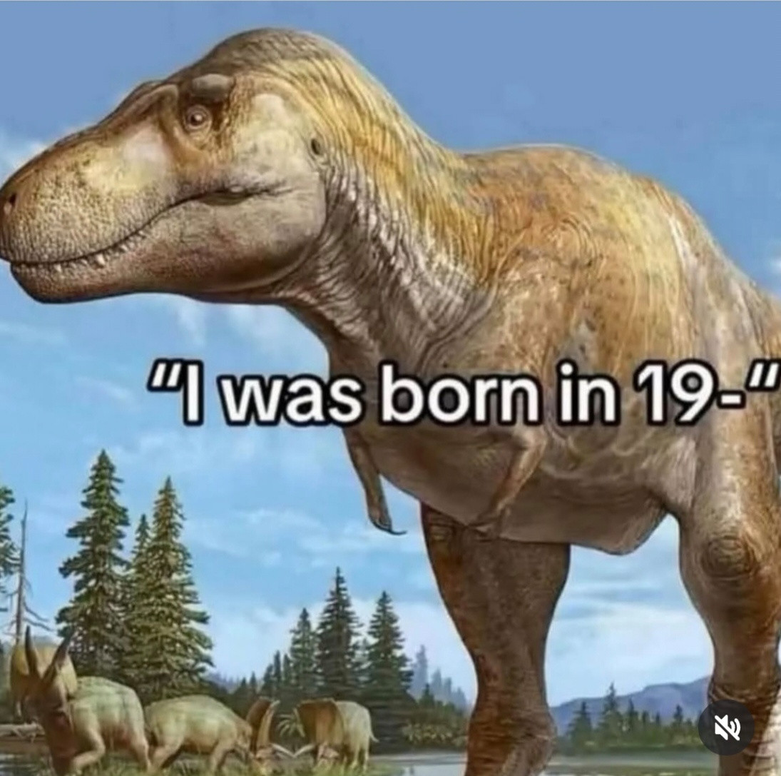 xd