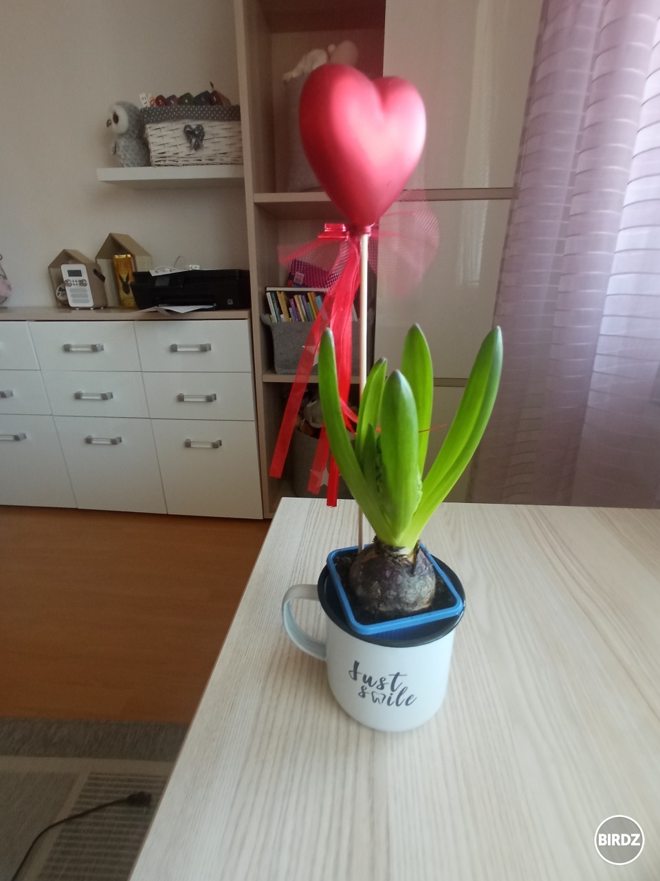 tak sa teším z kvietkov..! 