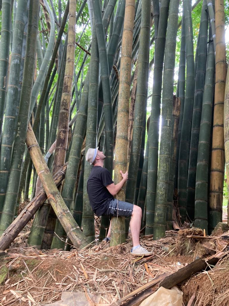 Spominal tu niekto hruby dospelacky penis?