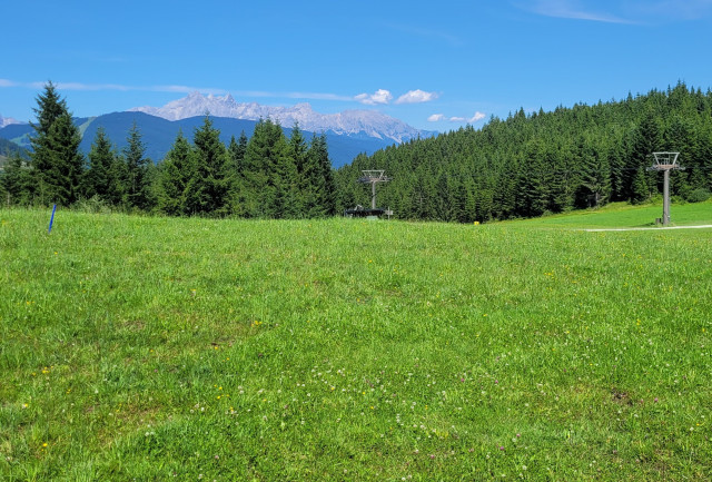 Tu je moj Berg-pick , dnes je na opalovanie na asfalte 