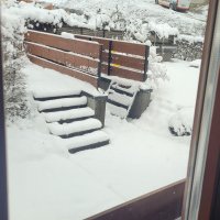 Mam vytiahnuť korbáče alebo vianočný stromček?