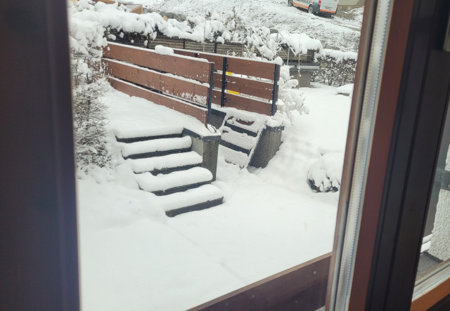 Mam vytiahnuť korbáče alebo vianočný stromček?