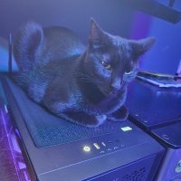 Extern CAT'unit