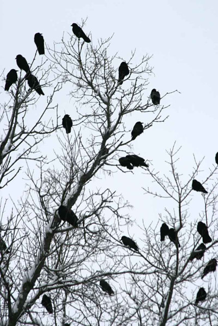 Obrázok bez popisu č.1094880