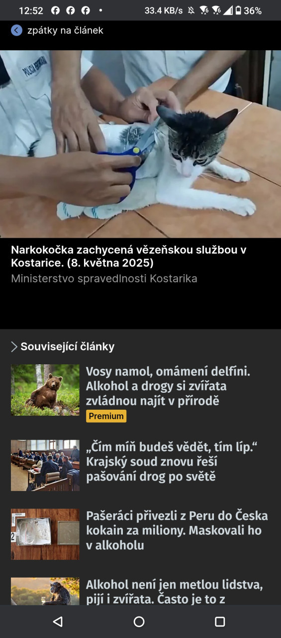 narcomichi ~ narkocka :cat: