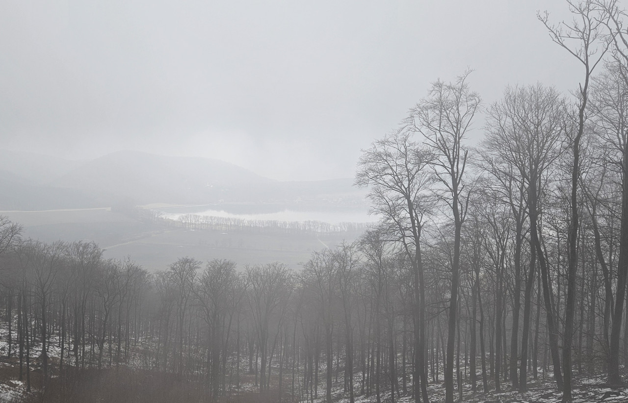 NEDELA= turistika, bowling, burrito 