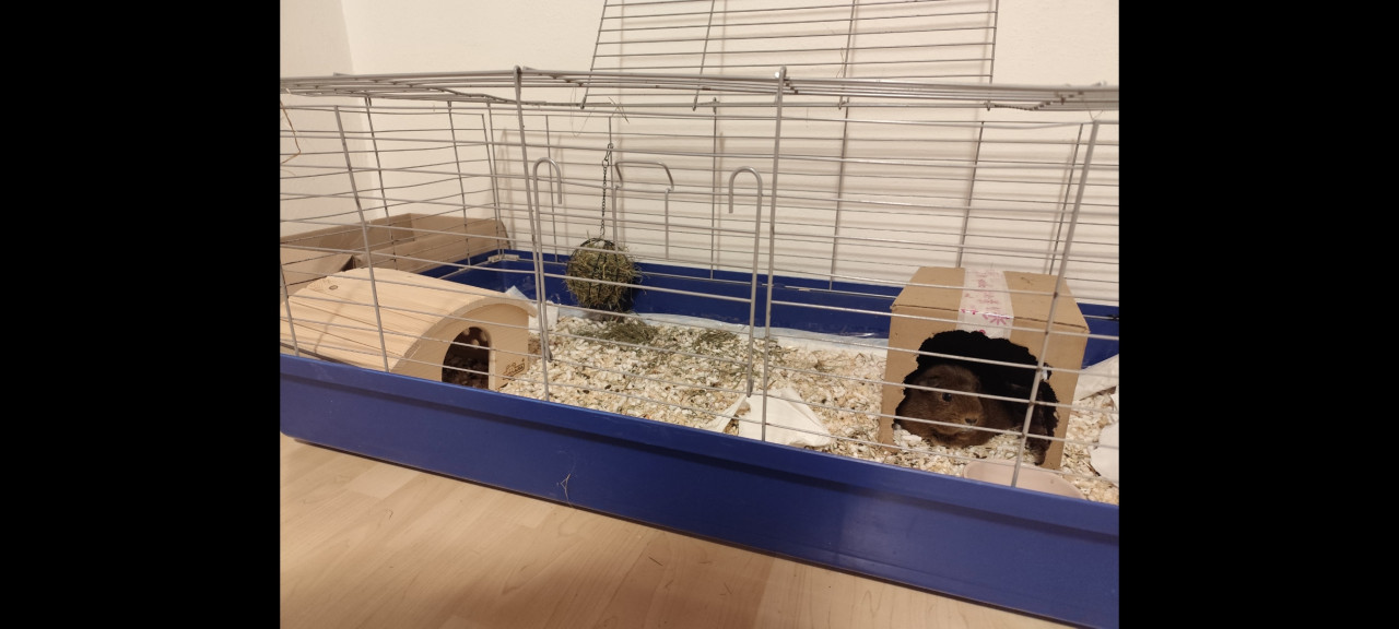 Lepšie sa býva v starom ako v novom... asi sa bojí, že by sa jej zdvihol nájom :D