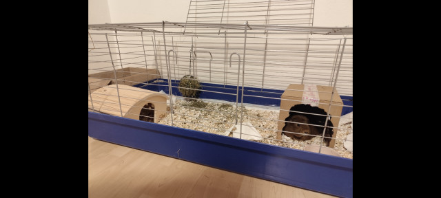 Lepšie sa býva v starom ako v novom... asi sa bojí, že by sa jej zdvihol nájom :D