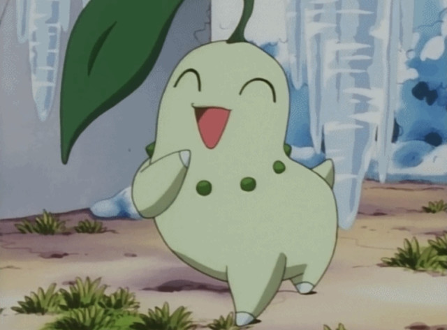 Chikorita ❤️ môj naj pokémon