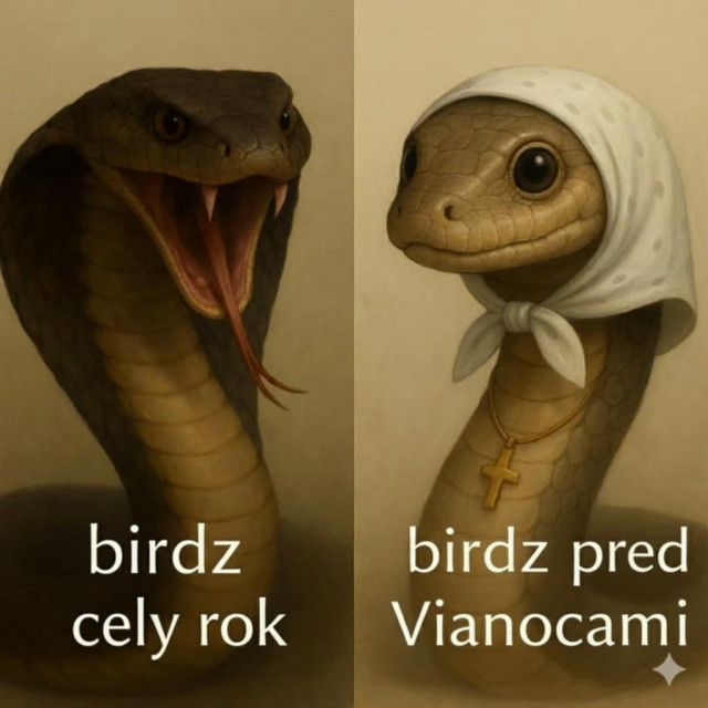 Obrázok bez popisu č.1094994