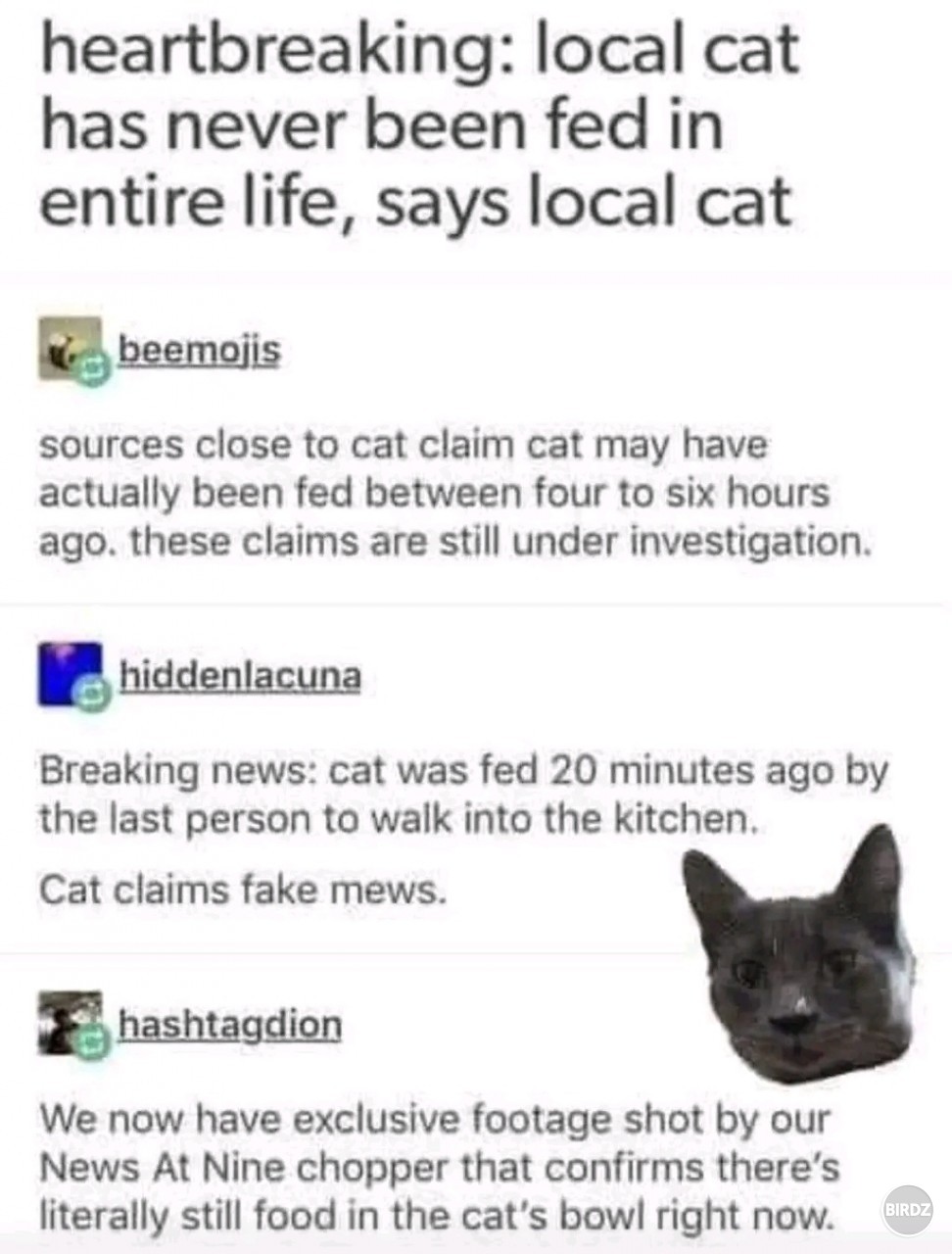 fake meows