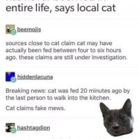 fake meows