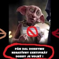 Pán dal Dobbymu negatívny certifikát. Dobby je voľný!!! Matovič sa priznal že pandemia je falošná a je to všetko podvod.