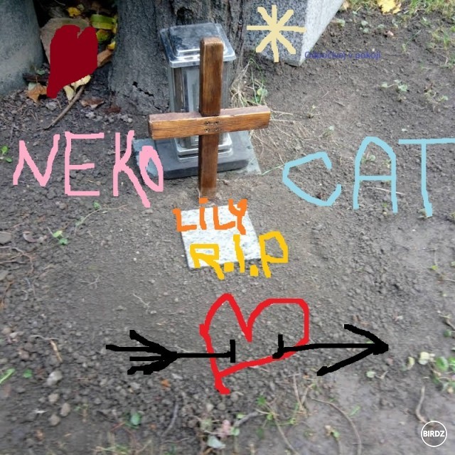 Taká farebné upravená fotka ktorú mám na mojom youtube kanáli v komunite atď. Toto je hrobček našej prvej mačičky!...  :-O  :-( 