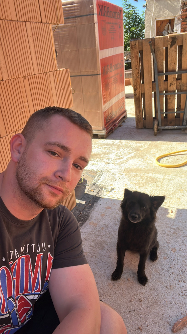 Nebol som tu niekoľko rokov a Birdz mi príde celkom rozbitý. Začalo to obnovou hesla, pokračovalo to nefunkčným message systémom a skončilo pri znemožnení zmeniť si profilovku. Tak schválne kto si má po tých rokoch ešte pamätá? Tu len tak random so psom:D
