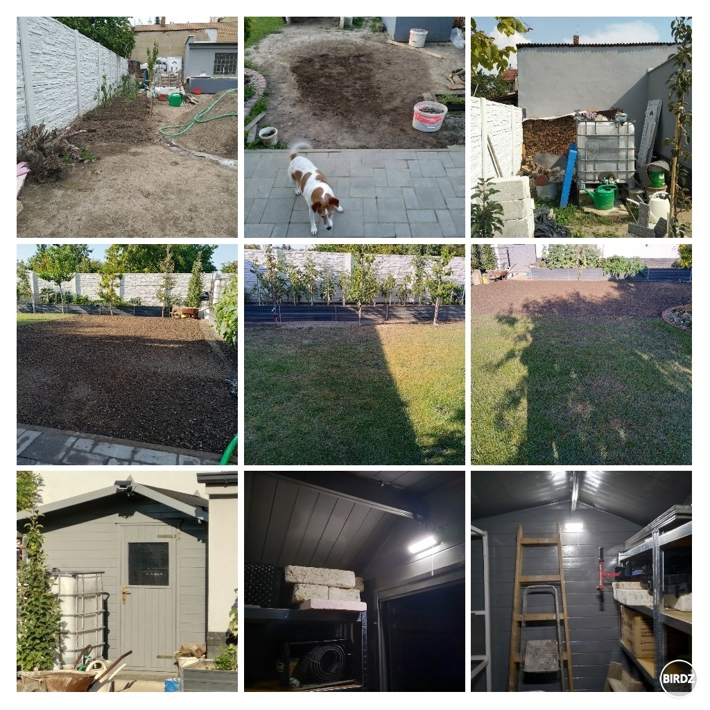 Zdá sa, že s dvorom som už hotový. Trávnik som nedávno vysial, prerobil dvor, vylepšil domček o svetlá a kopu toho vylepšil.