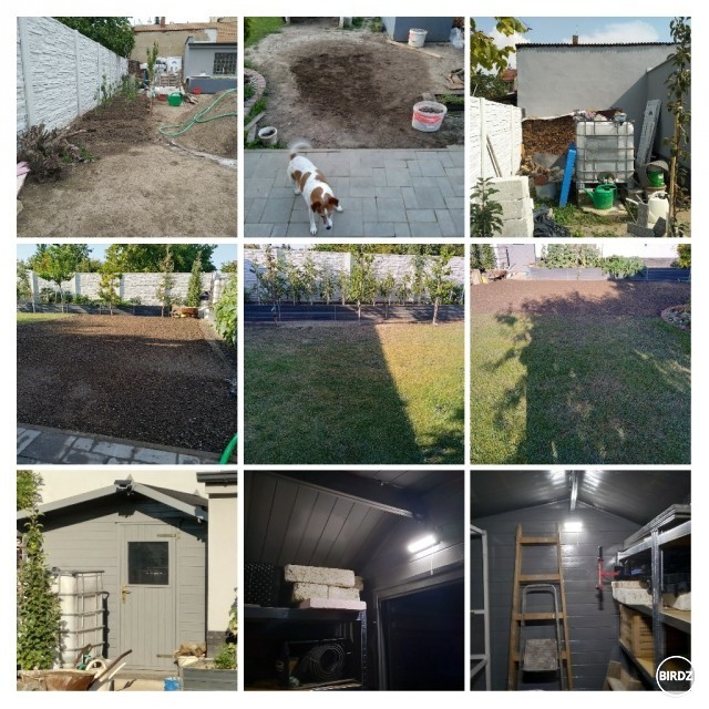 Zdá sa, že s dvorom som už hotový. Trávnik som nedávno vysial, prerobil dvor, vylepšil domček o svetlá a kopu toho vylepšil.