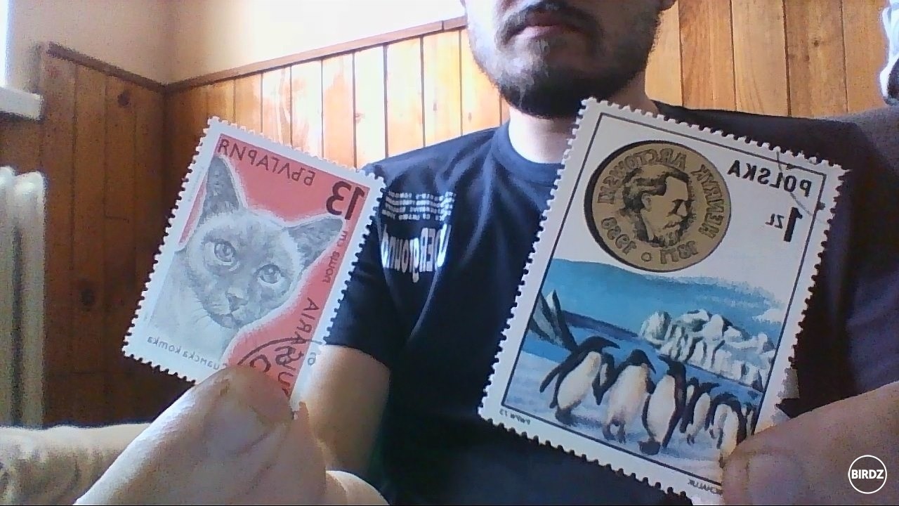 Rozširujem zbierku, tentoraz o zvieratkovské známky: jedna poľská, venovaná Henrykovi Arctowskému a siamská mačka (Bulharsko)