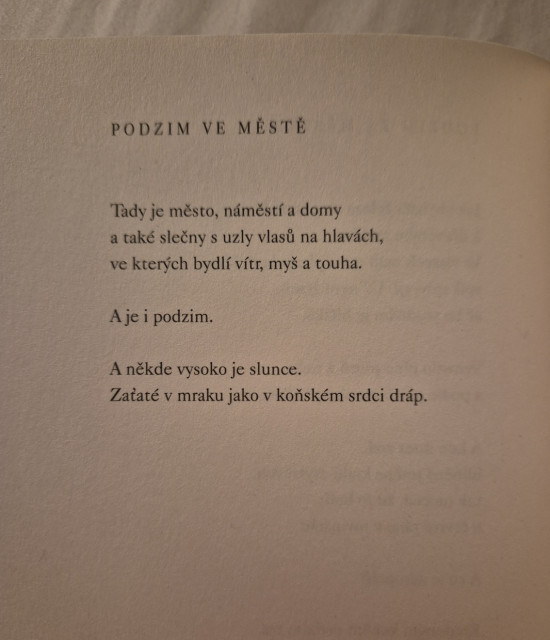 Obrázok bez popisu č.1094818