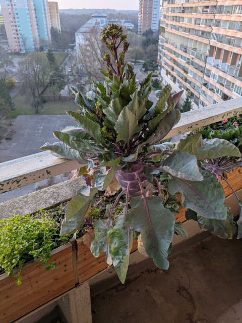 šesťdesiat na šesťdesiat , hu húúúú :D