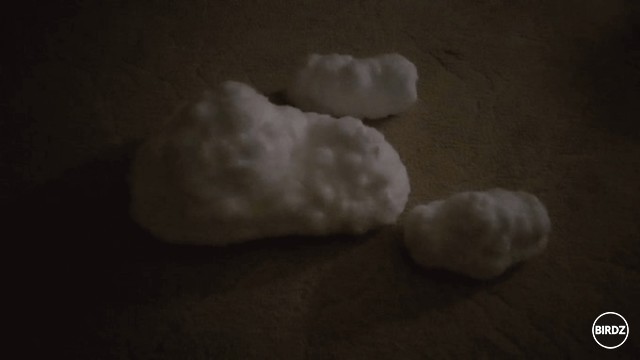 Cumulunimbus kocuris