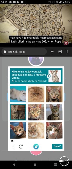 Mačku s krátkymi vlasmi ste už mali? 