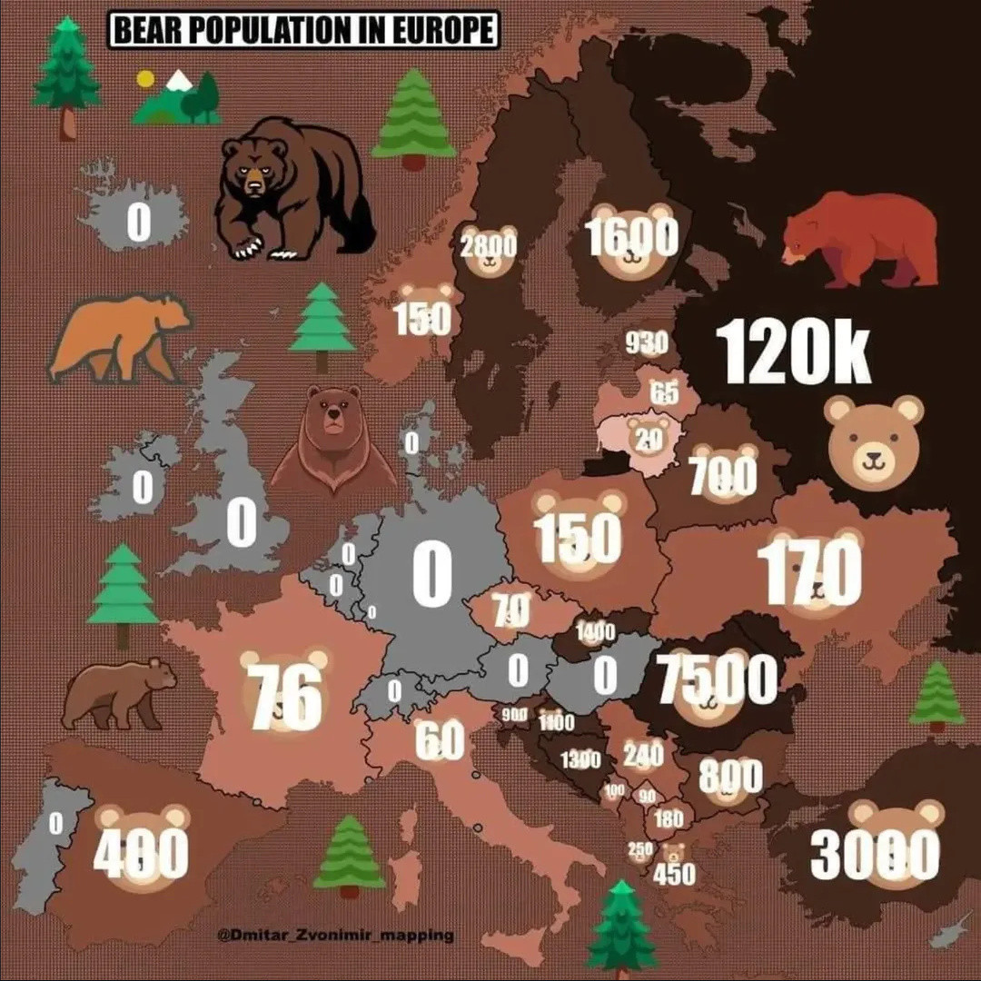 Nechcete niekto kúpiť medveďa na záhradu?