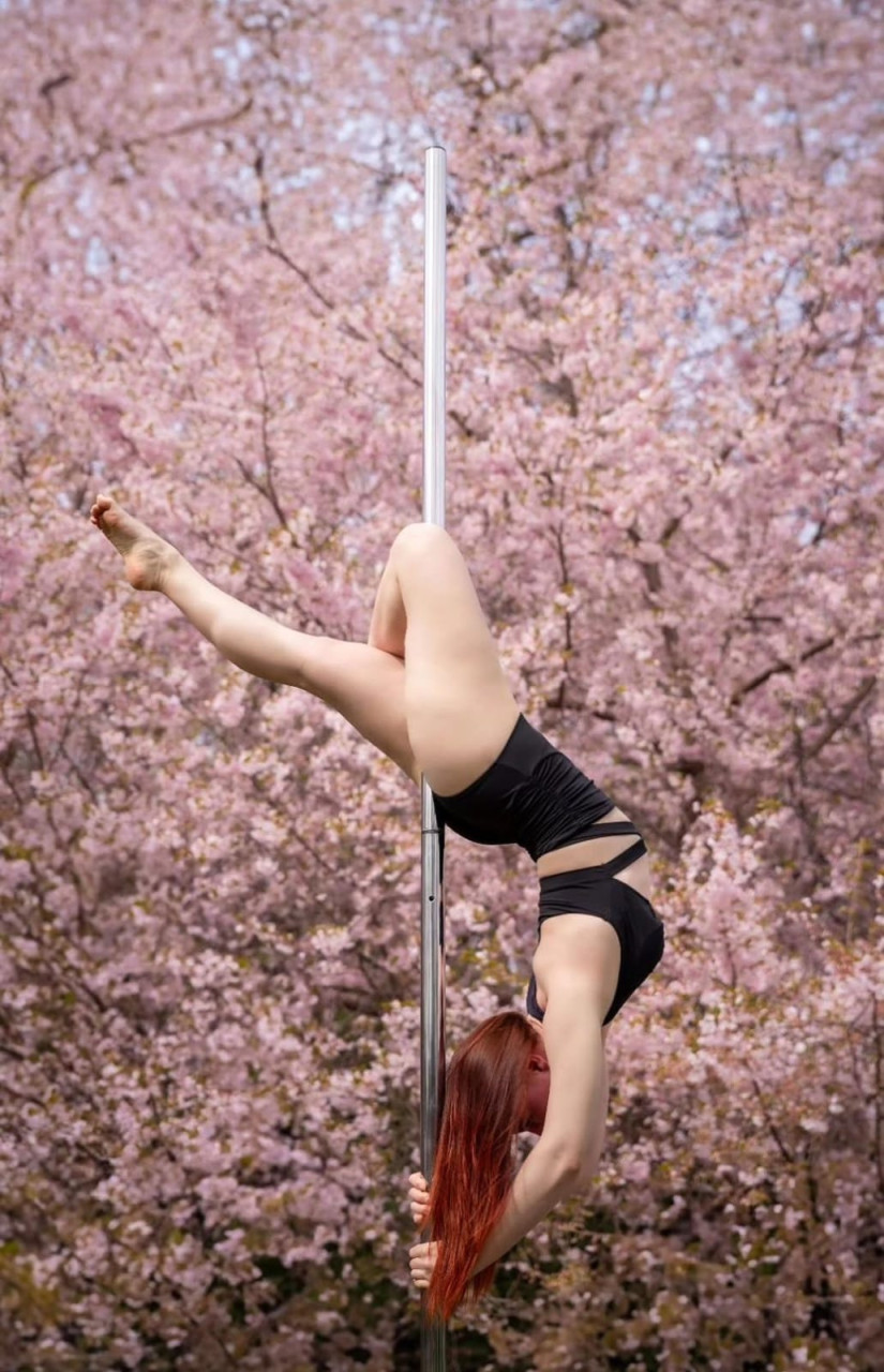 :cherry_blossom:
