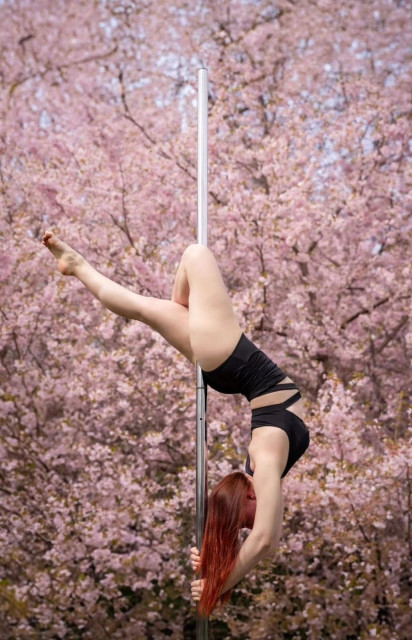 :cherry_blossom: