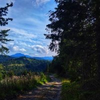 #behindthehandlebars
(v pozadí Malá Fatra, vľavo Velký Rozsutec)