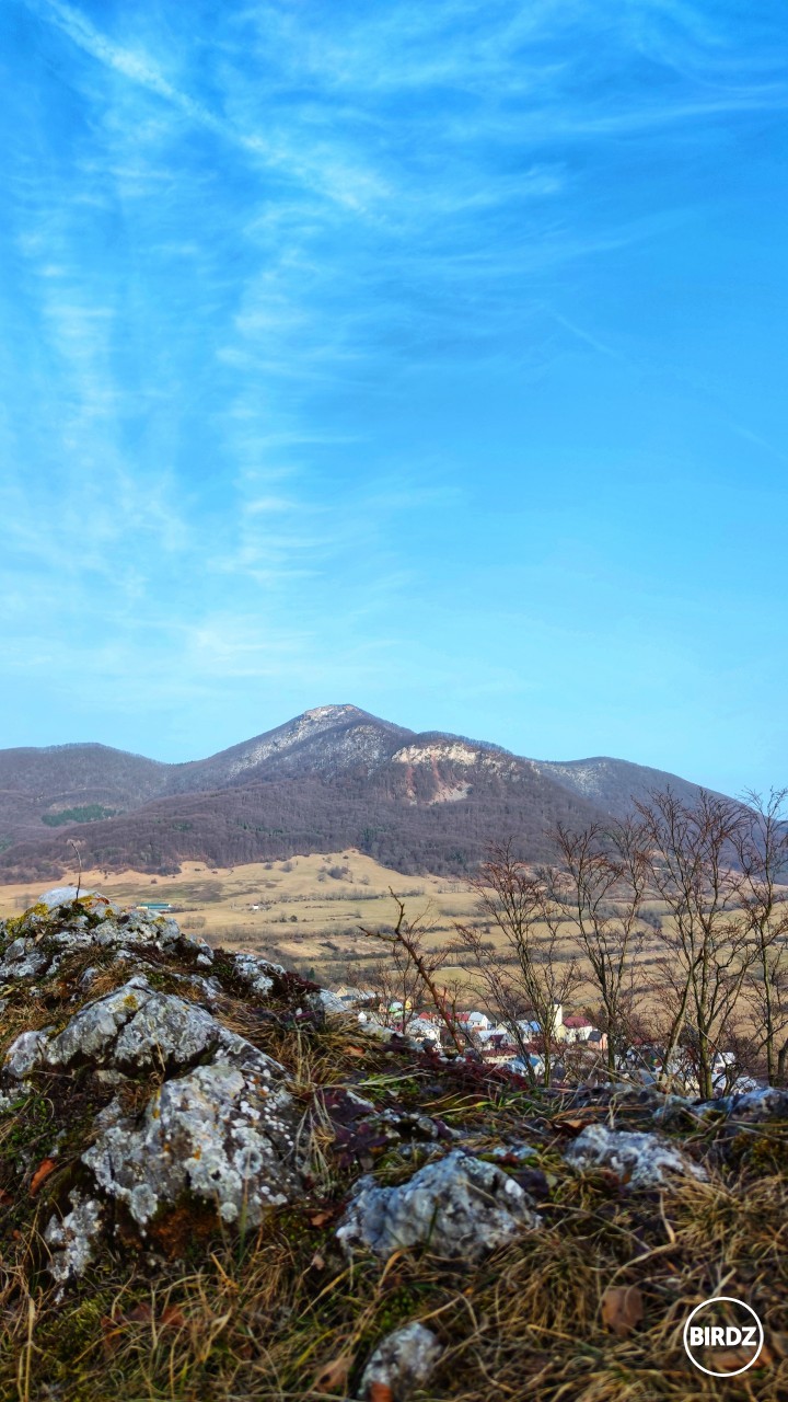 spring is coming...